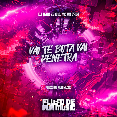 Vai Te Bota Vai Penetra ft. DJ Igor ZS 012 | Boomplay Music