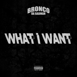 What I Want lyrics | Boomplay Music