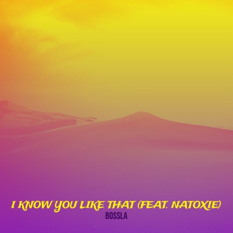 I Know You Like That ft. Natoxie | Boomplay Music