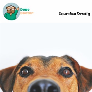 Separation Serenity: Music to Ease Dog Anxiety