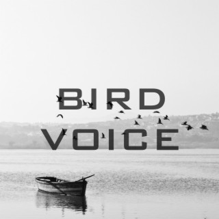 Bird Voice