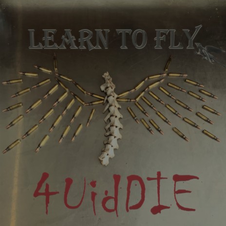 Learn To Fly - 4 U Id Die MP3 Download & Lyrics