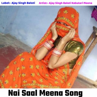 Nai Saal Meena Song