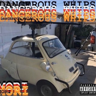 DANGEROUS WHIPS