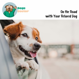 On the Road with Your Relaxed Dog