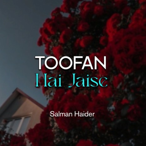 Toofan Hai Jaise | Boomplay Music
