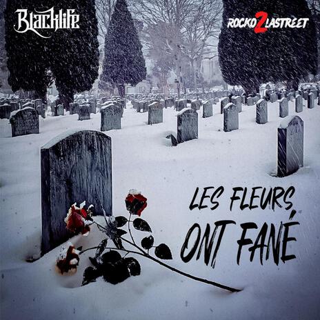 Les Fleurs Ont Fané ft. Rocko2lastreet | Boomplay Music