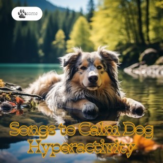 Songs to Calm Dog Hyperactivity