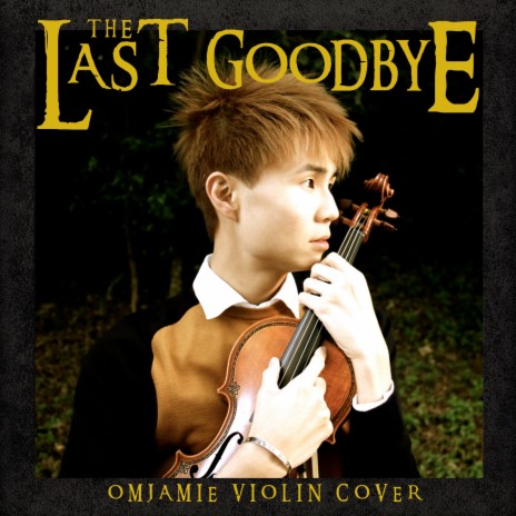 The Last Goodbye (Violin Cover) (from The Hobbit: The Battle Of The Five Armies) | Boomplay Music