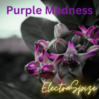 Purple Madness