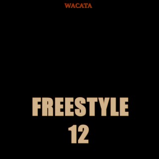 Freestyle 12