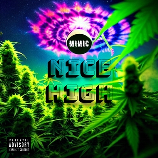 Nice High lyrics | Boomplay Music