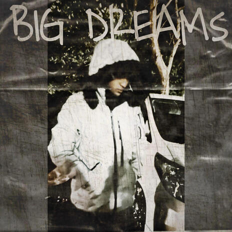 BiG DREAMS FREEVERSE | Boomplay Music