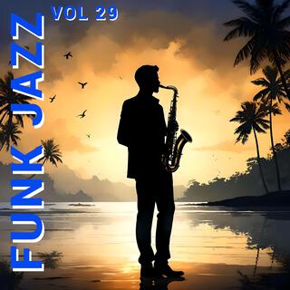 Funk Jazz, Vol. 29