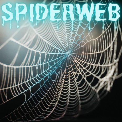 Spiderweb | Boomplay Music