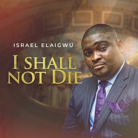 I Shall Not Die | Boomplay Music