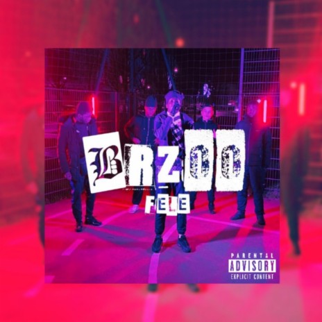 BRZOO | Boomplay Music