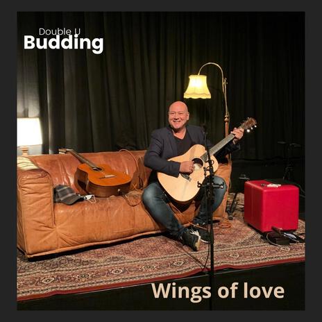 Wings of love | Boomplay Music