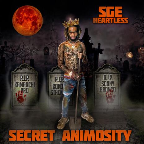 Secret Animosity | Boomplay Music