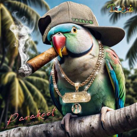 Parakeet ft. Papiiiondabeat, SaucedBySteve & ReemTheGaslete | Boomplay Music