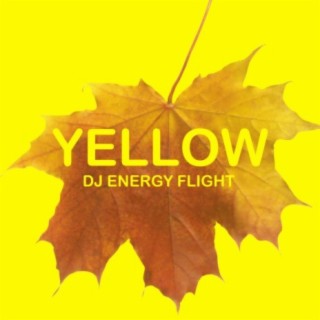 Dj Energy Flight