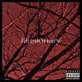 Illusionary