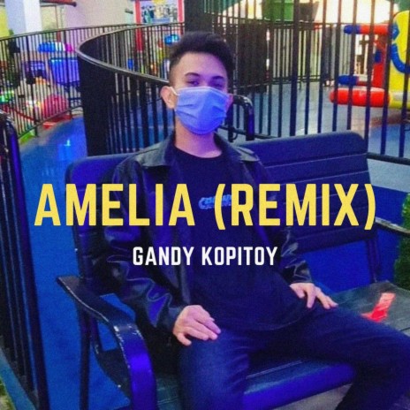 Amelia (Remix) | Boomplay Music