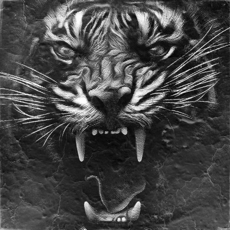 Panthera | Boomplay Music