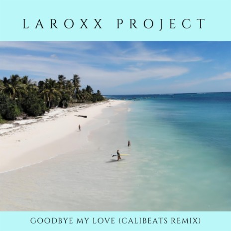 Goodbye My Love (Calibeats Remix) ft. Calibeats | Boomplay Music