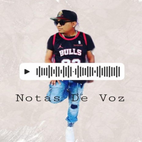 Notas De Voz | Boomplay Music