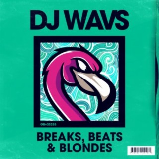 DJ WAVS