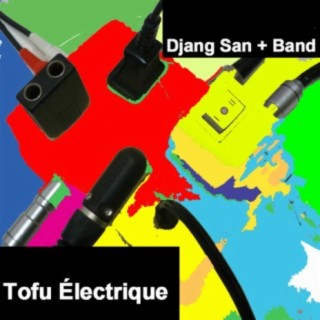 Tofu électrique