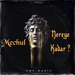 Nereye kadar? lyrics | Boomplay Music