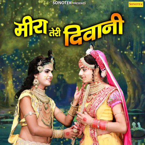 Meera Teri Deewani | Boomplay Music