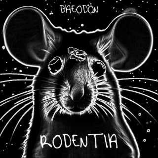 Rodentia