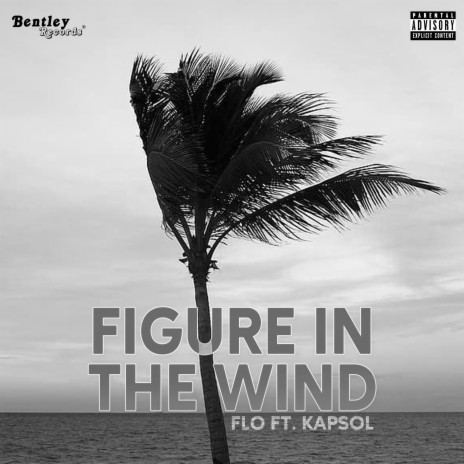 Figure in the Wind ft. Kapsol | Boomplay Music