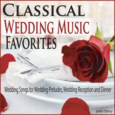 The Wedding Swan | Boomplay Music