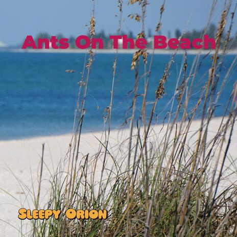 Ants On The Beach | Boomplay Music