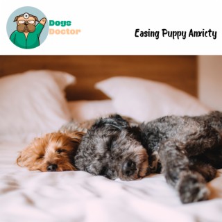 Easing Puppy Anxiety: Canine Calmness through Music