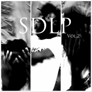 SDLP, Vol. 2