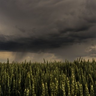 Sleepy Clouds and Sounds of Rain