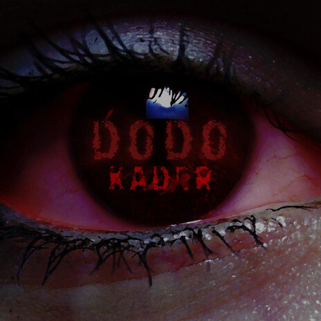 Kader | Boomplay Music