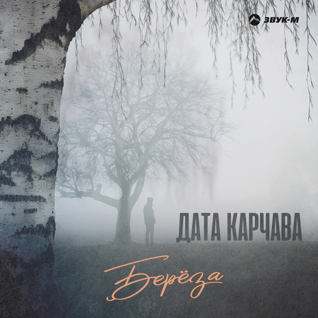 Берёза | Boomplay Music