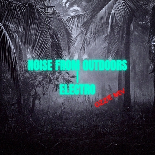 Noise From Outdoors/Electro