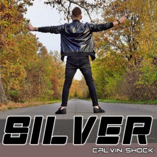 Silver (Original Mix)