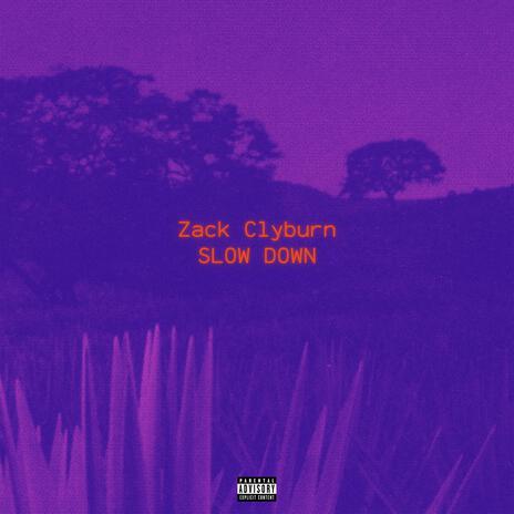 SLOW DOWN | Boomplay Music