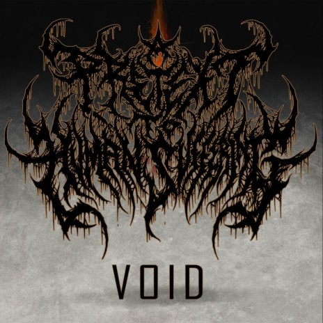 Void | Boomplay Music