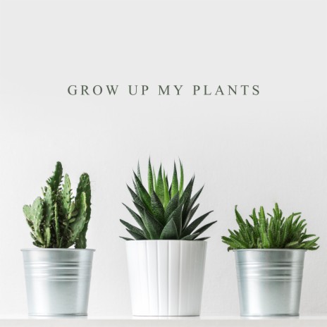 Potted Flowers | Boomplay Music