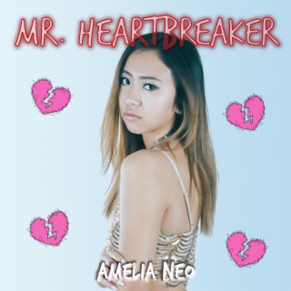 Mr. Heartbreaker lyrics | Boomplay Music