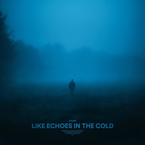 like echoes in the cold | Boomplay Music